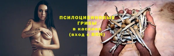 бутират Богданович