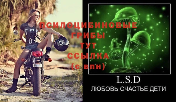 хмурый Богородск