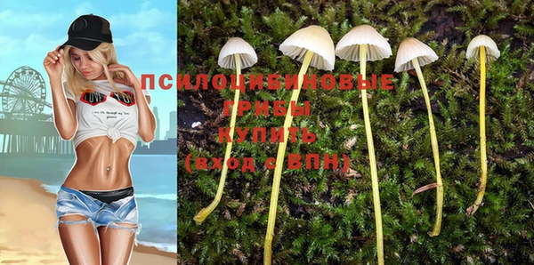 МДПВ Богородицк