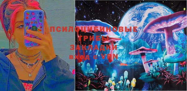МДПВ Богородицк