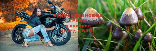 бутик Бородино