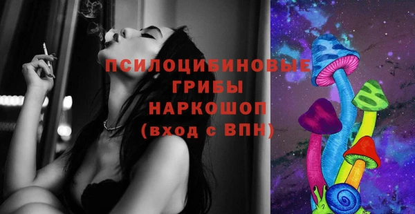 МДПВ Богородицк