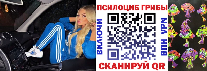 Псилоцибиновые грибы Magic Shrooms  где продают наркотики  Данков 